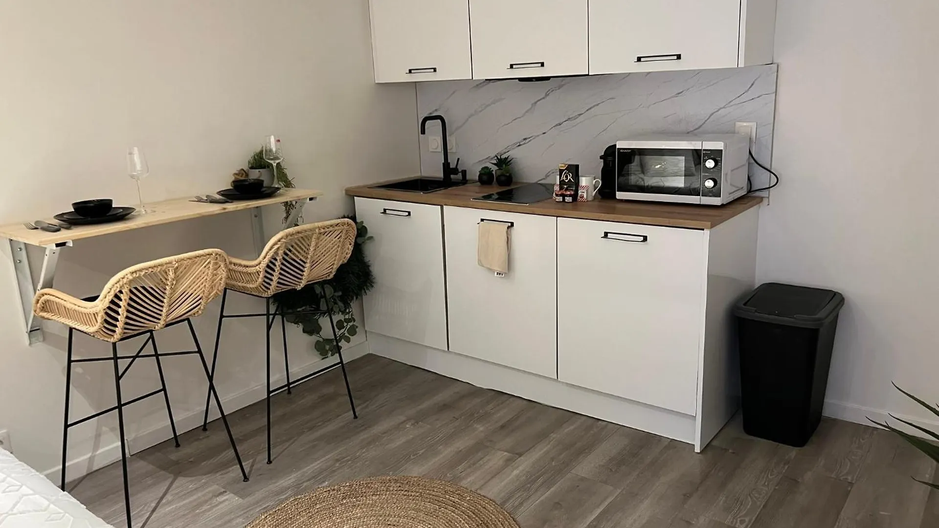 Apartment Le Zenith Vieille Ville D'Annecy