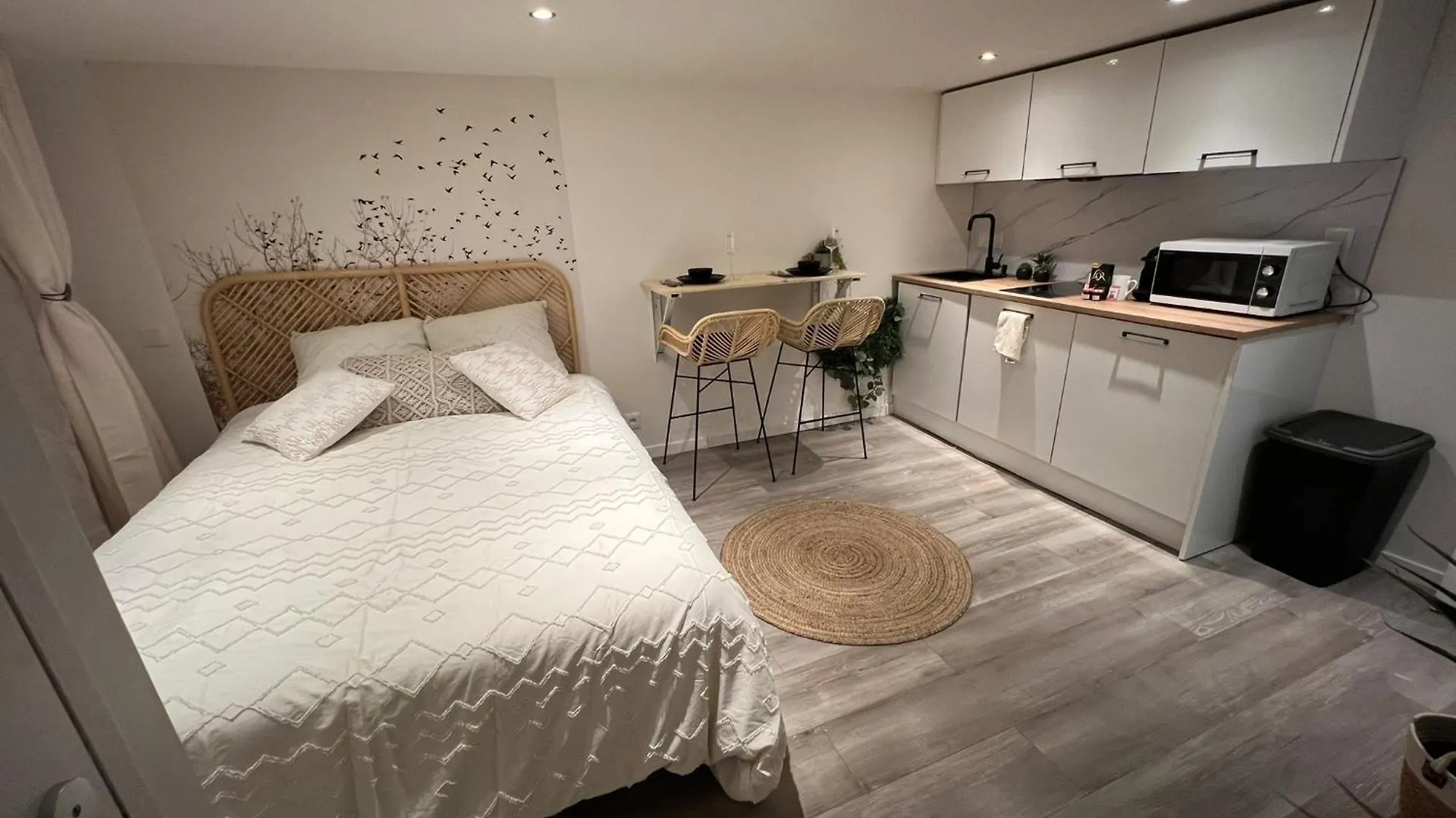 Le Zenith Vieille Ville D'Annecy Apartment