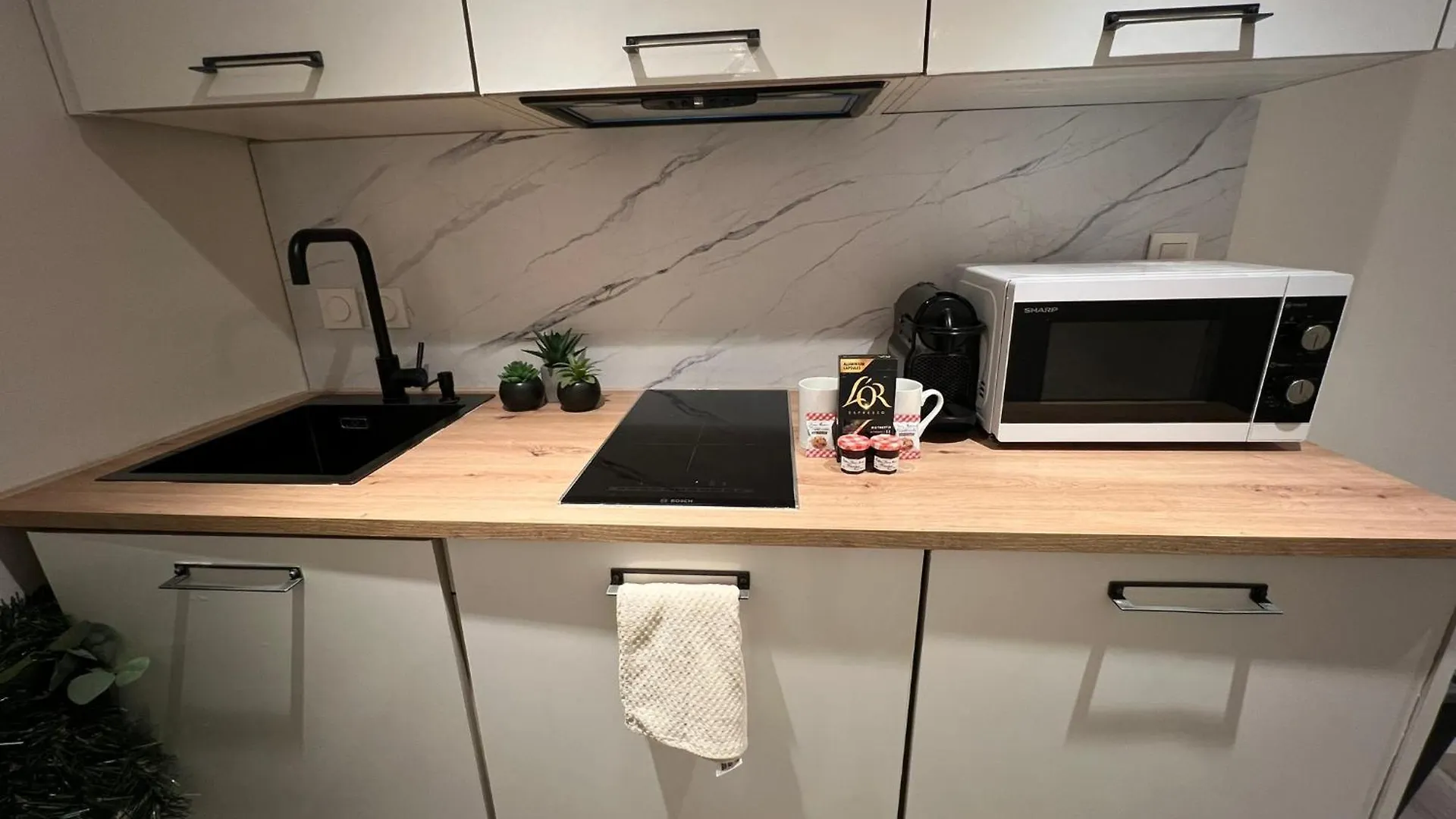 Appartement Le Zenith Vieille Ville D'Annecy Frankrijk